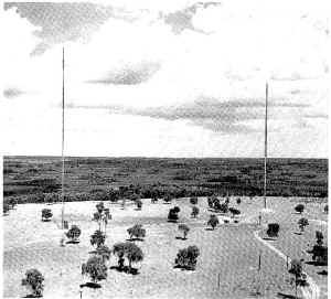 WGTO-AM 540 2 tower array.jpg (68959 bytes)
